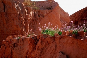 שפת המכתש הקטן