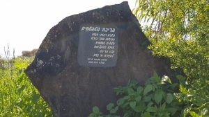 בריכת הטבעונים