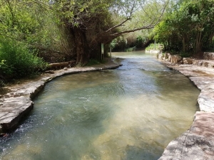 בריכת השכשוך