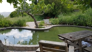 הבריכה התחתונה