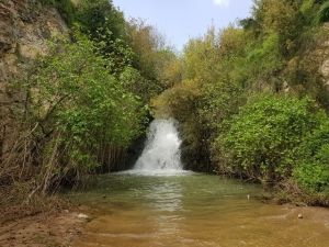 מפל עיון
