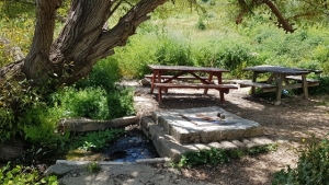 נביעת מעיין עמשא