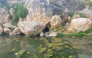 שמורת נחל קנה