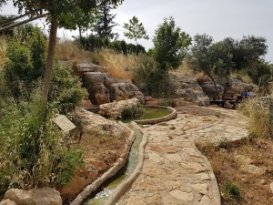 בריכת השכשוך