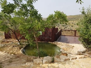 הבריכה ומרפסת התצפית