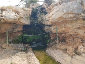 המפל העליון