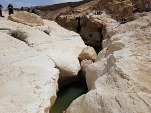 סדקים בעין ירקעם