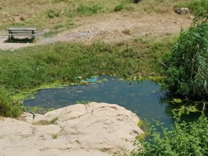 עין אל חוור