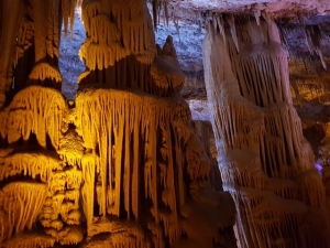 מערת הנטיפים - מערת שורק - עמודים