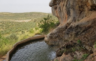 פארק הצנירים - קדומים