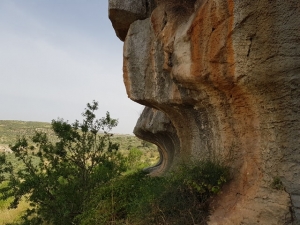 צניר בפארק הצנירים