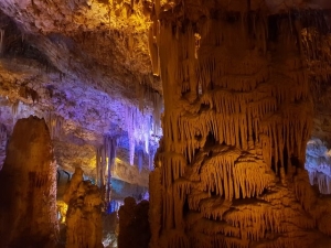 קיר בהתהוות
