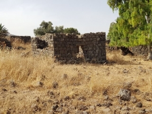 הכפר יהודיה