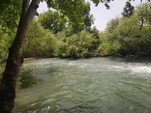 זרימה בנחל בניאס תחתון