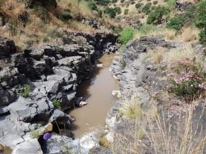 קניון הבזלת