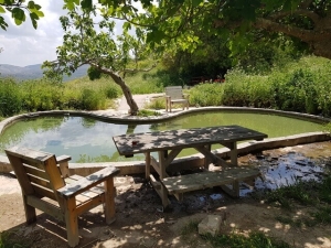 טיול בשומרון - מעיין עמשא