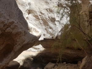 גב בנחל מסור