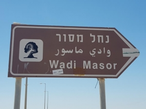 נחל מסור - הר מסור