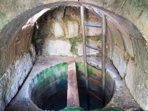 עיינות דקלים