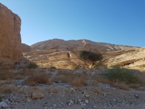 תחילת מסלול נחל מסור - הר מסור
