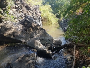 מפלון בנחל משושים