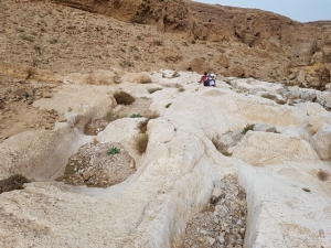 גבים בנחל רחף עליון