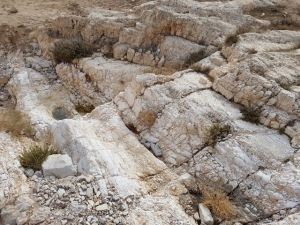 מסלע בנחל רחף עליון