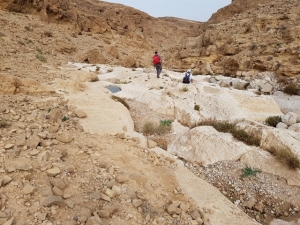 נחל רחף עליון