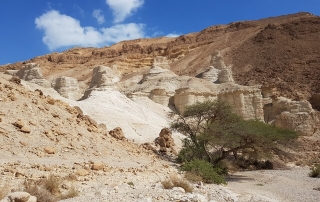 מעין בוקק לנווה זהר שביל ישראל החדש