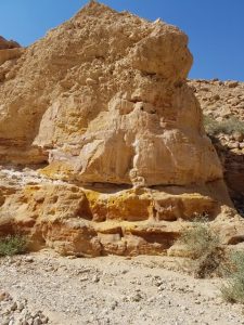 אבן חול נובית