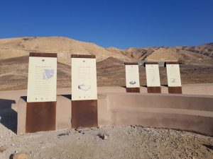 דרך הפוספטים