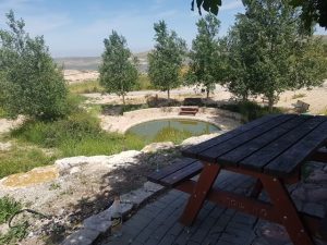 מעיין משה - שלהבתיה - מבט על