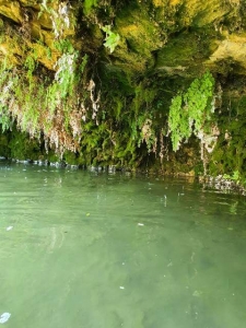 נחל ביתר (נחל המעיינות)