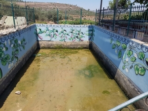 עין אל בלאד