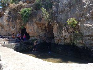 עין אל הוויה