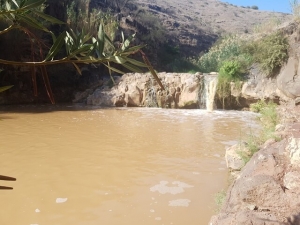 הבריכה בנחל תבור