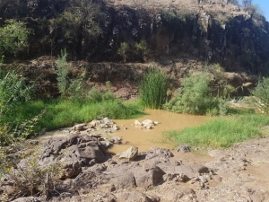קניון הבזלת בנחל תבור
