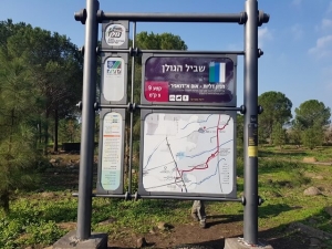 שביל הגולן מאום אל דנניר לחניון דליות
