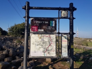 שביל הגולן מיער אודם למרום גולן
