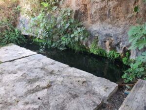 מעיין שוקת ליד מעיין מאיר