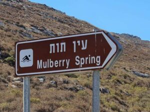 עין תות - עין שייבן