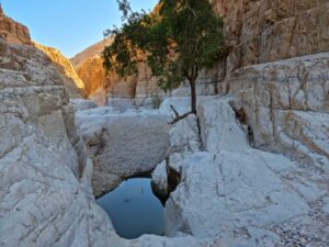גב בקניון היבש