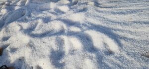 פניני מלח בחוף הפנינה - חוף הפנינים