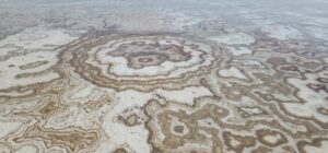 ציורי ואן גוך מרהיבים